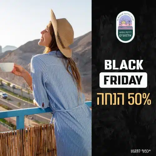 black friday | בלאק פריידי